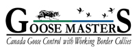 Goose Masters